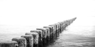 Co to za skrót DS? Co to za skrót DS?