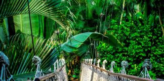 Ile kosztuje kurs obsługi komputera? Ile kosztuje kurs obsługi komputera?