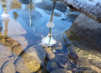 W czym na wesele w styczniu 2023? W czym na wesele w styczniu 2023?