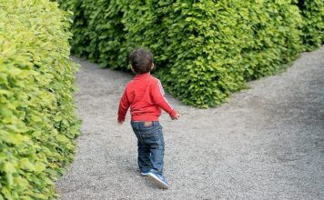 Jak napisać cel zawodowego bez doświadczenia? Jak napisać cel zawodowego bez doświadczenia?