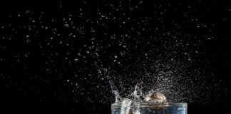 Czy wesele w zimie jest tańsze? Czy wesele w zimie jest tańsze?