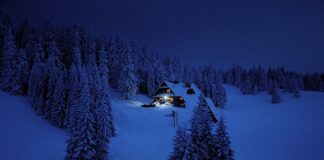 Jak stawiać cel? Jak stawiać cel?