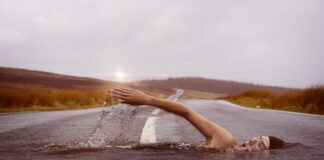 Czy pływanie z delfinami jest bezpieczne? Czy pływanie z delfinami jest bezpieczne?