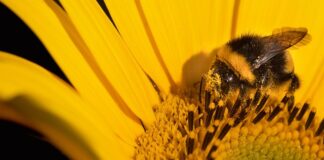 Do jakiej wady laserowa korekcja wzroku? Do jakiej wady laserowa korekcja wzroku?