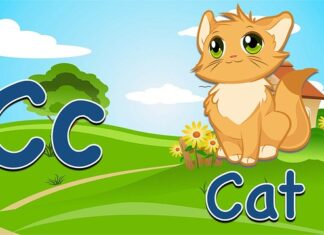 Co to jest fiszka deskorolka? Co to jest fiszka deskorolka?