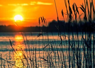 Jaki instrument muzyczny dla 5 latka? Jaki instrument muzyczny dla 5 latka?