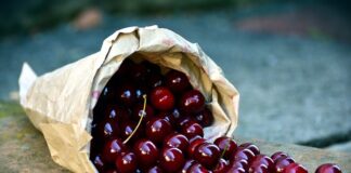 Jak zacząć zbierać LEGO? Jak zacząć zbierać LEGO?