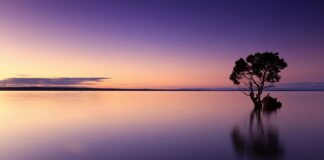 Ile wody dla 2 miesięcznego dziecka? Ile wody dla 2 miesięcznego dziecka?