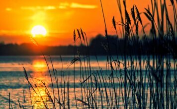 Jak nazywa się instrument z klawiszami?