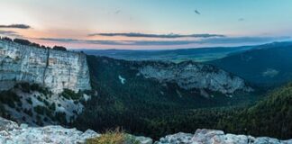 Kiedy pierwsza kitka?