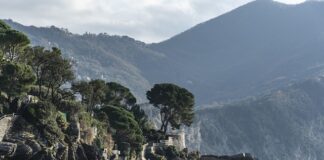 Ile kosztuje lewe prawo jazdy?